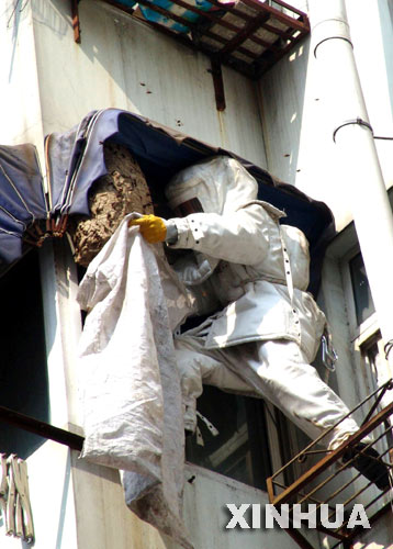 海南在线新闻中心-安徽消防员全副武装摘除巨