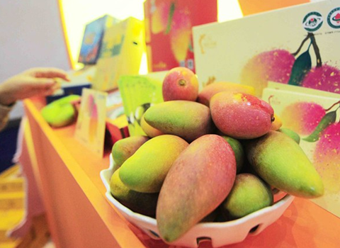 海南热带水果博览会