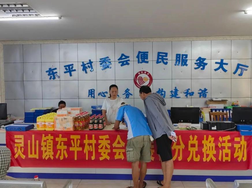 海口市美兰区灵山镇东平村开展积分集中兑换活动