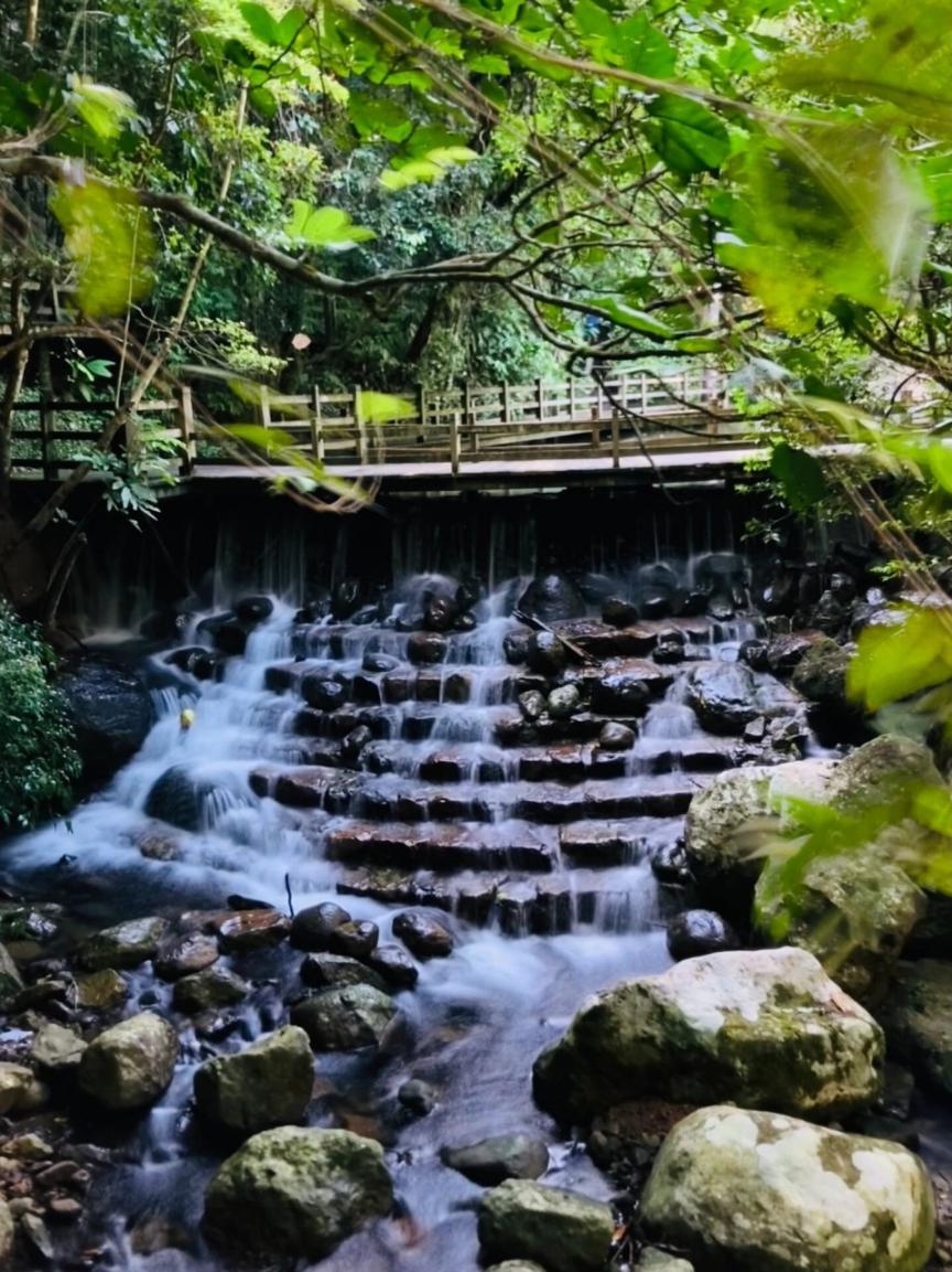 五指山：赴雨林畅享自然