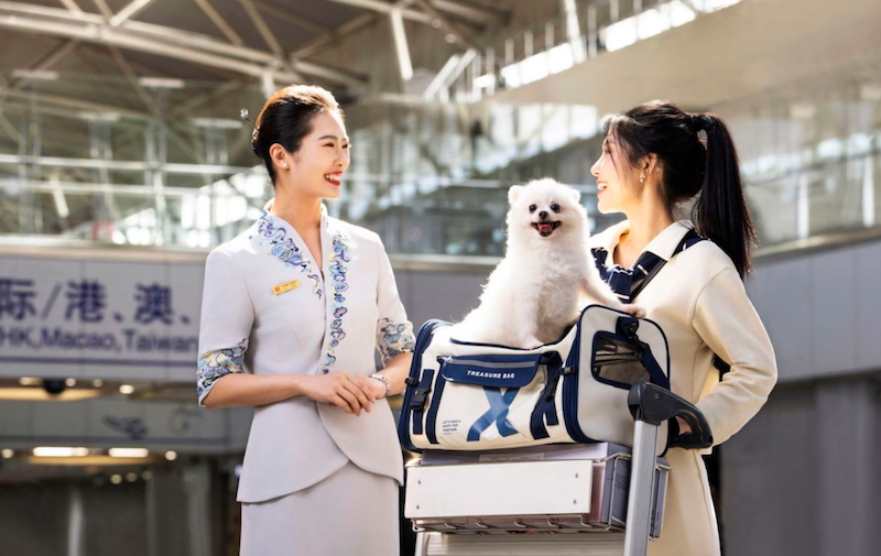 “一人两宠”全新上线!海南航空宠物客舱关爱服务举措再升级