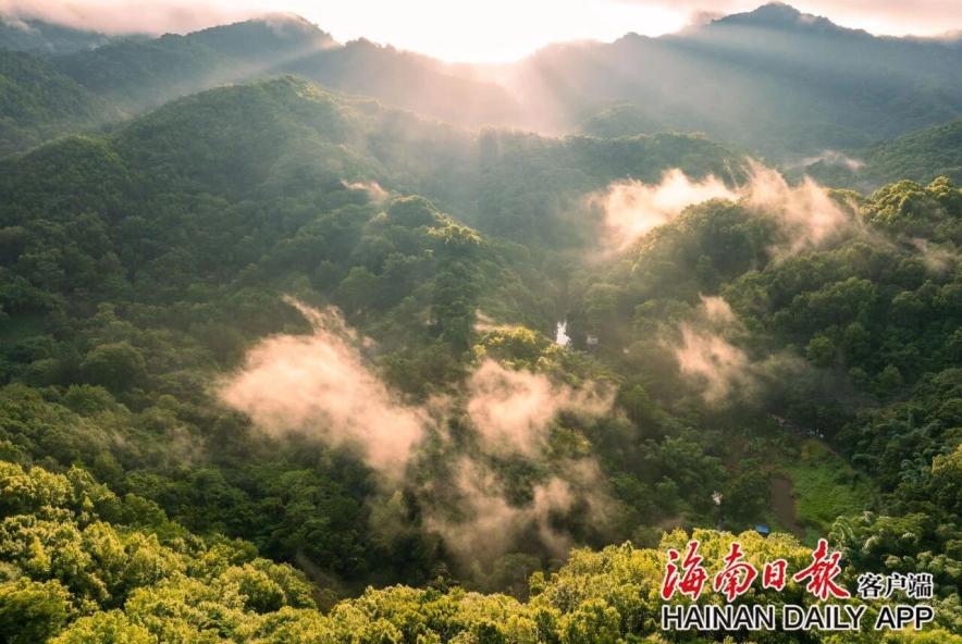 孙悟空飞不出的“五指山”，作家陈彦怎么攀登——