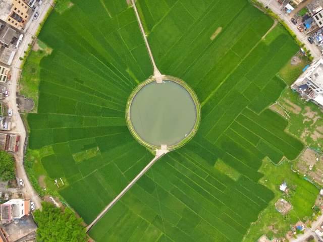 藏在海口秀英的太極