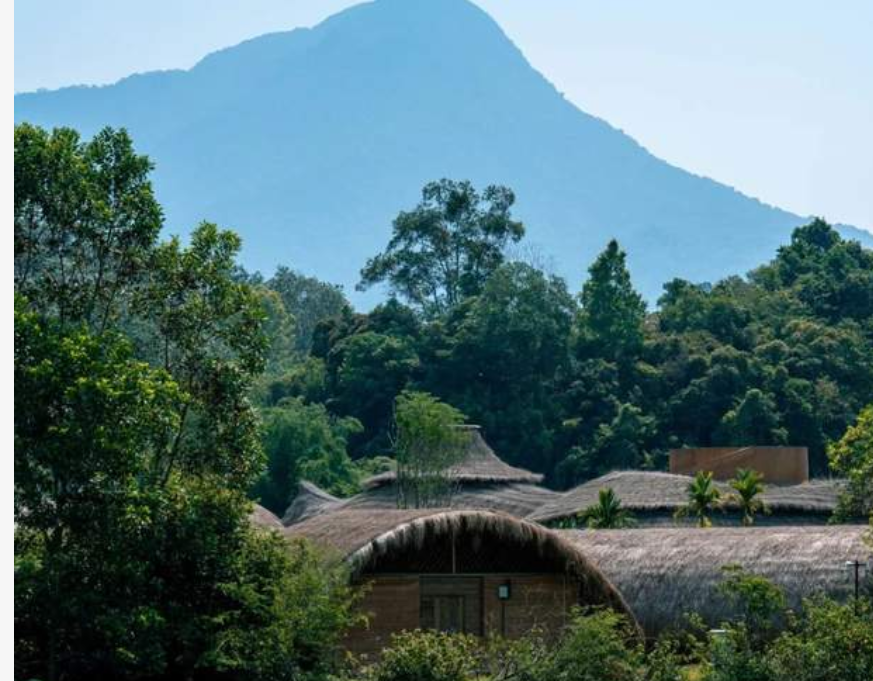 壯美五指山，我要給你五顆星