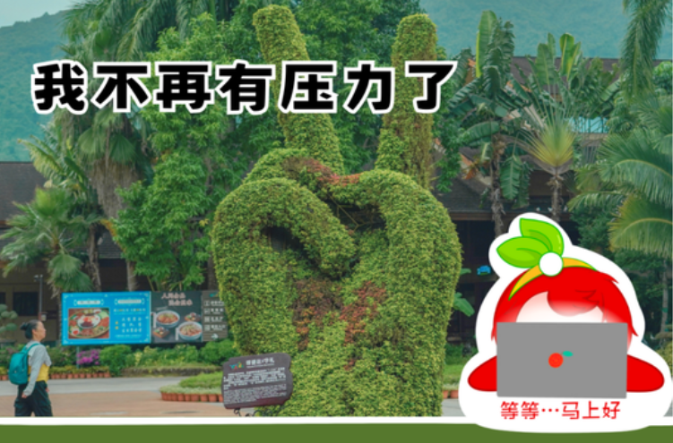 当我问周末去哪玩,谐音梗同事belike——保亭谐音梗