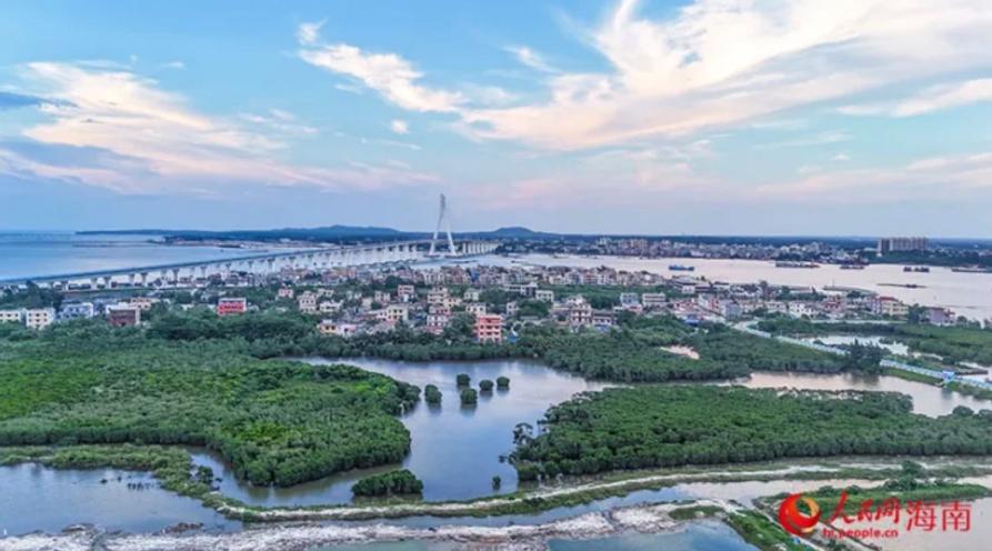 美丽渔村北港岛的国际范儿