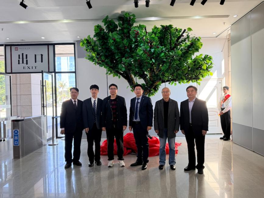 “通用汉字树”在海南发布，以通用汉字为媒筑牢文化强国之基