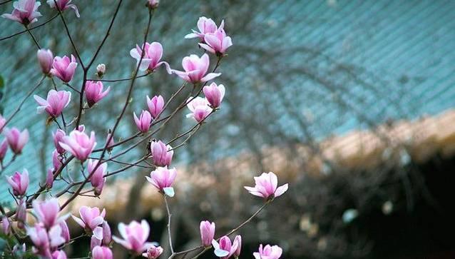 立春从这5方面养生