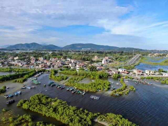 左手拾贝,右手赏花,这才是3月陵水的正确打开方式