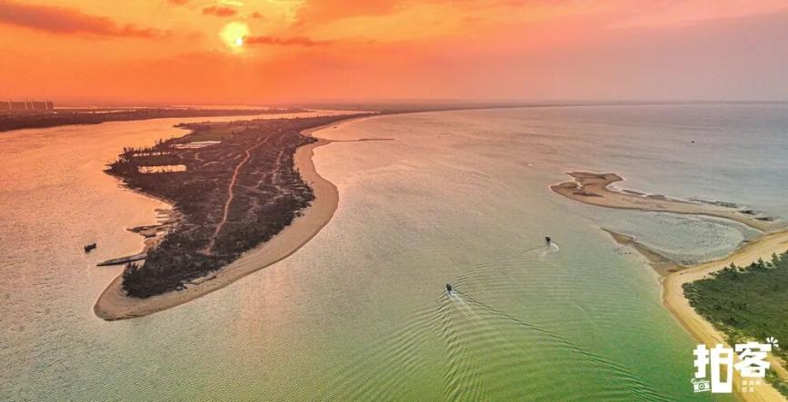 海南，好多“马”啊~