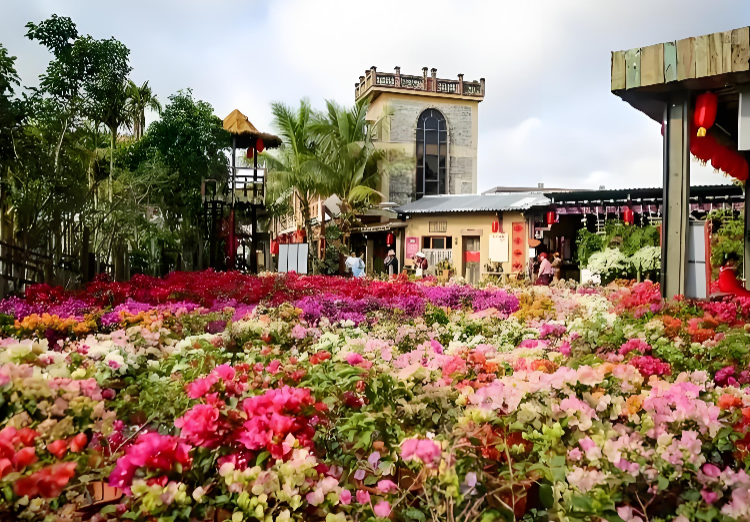 春假即将到来，三亚海口将迎来更多成都亲子游客