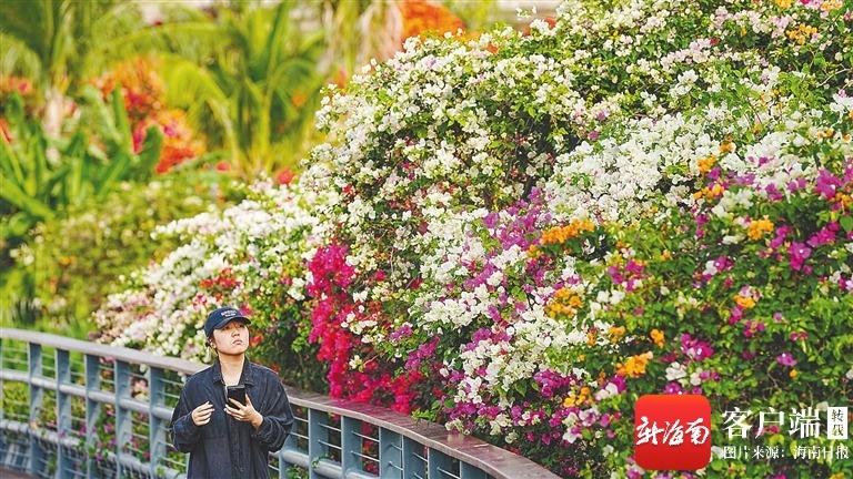 春遇兩樹(shù)一花