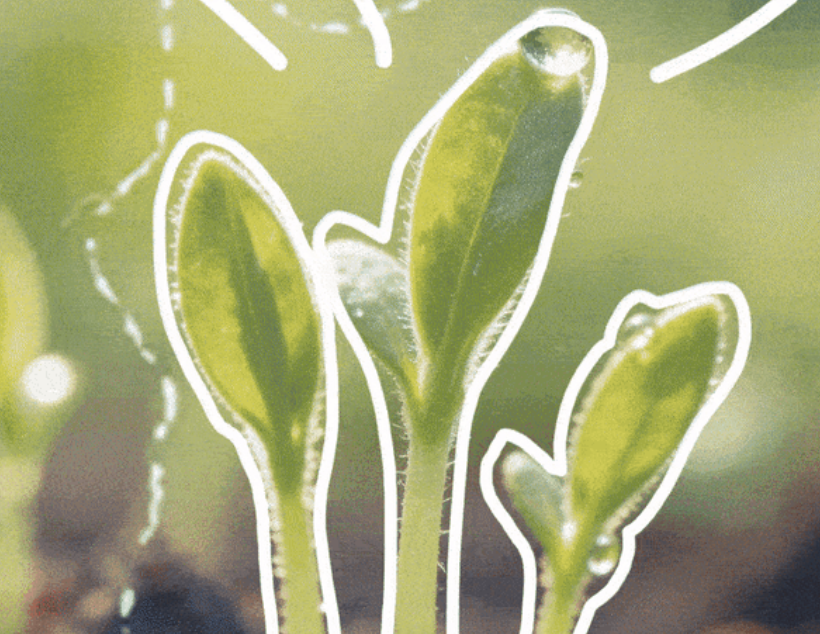 驚蟄后多些舒緩運(yùn)動(dòng)