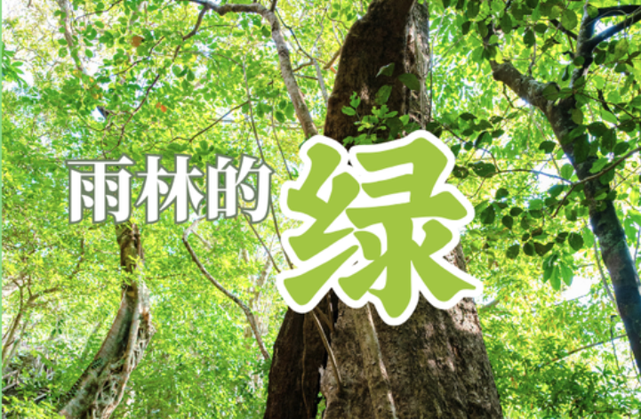 春日保亭新玩法：来一场Color Walk