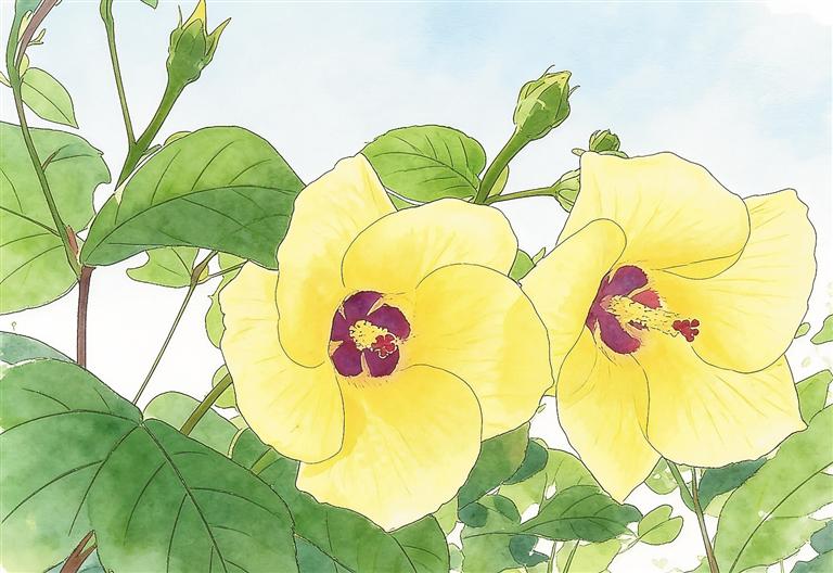 海南植物界“时尚达人”:盛装背后的生存智慧