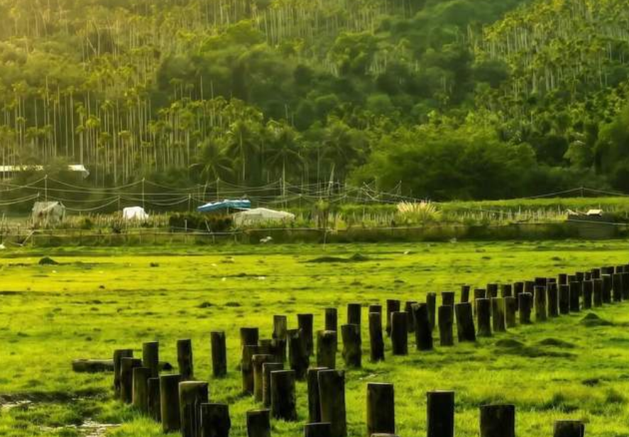 就在万宁!成片稻田+童话牧场，太出片了