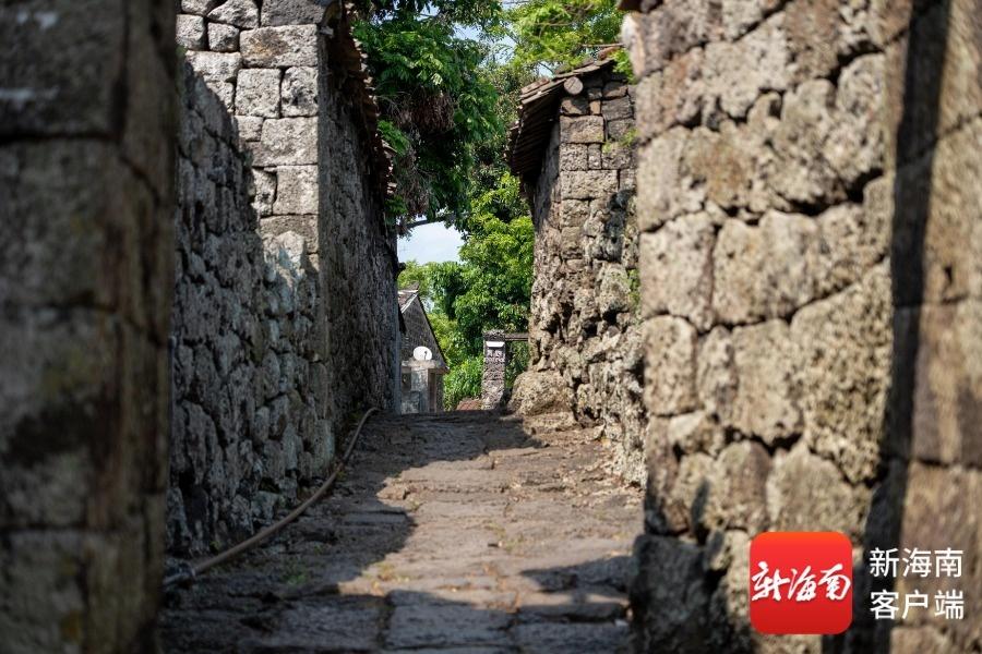 海口乡村游串珠成链从“破圈”到“出圈”