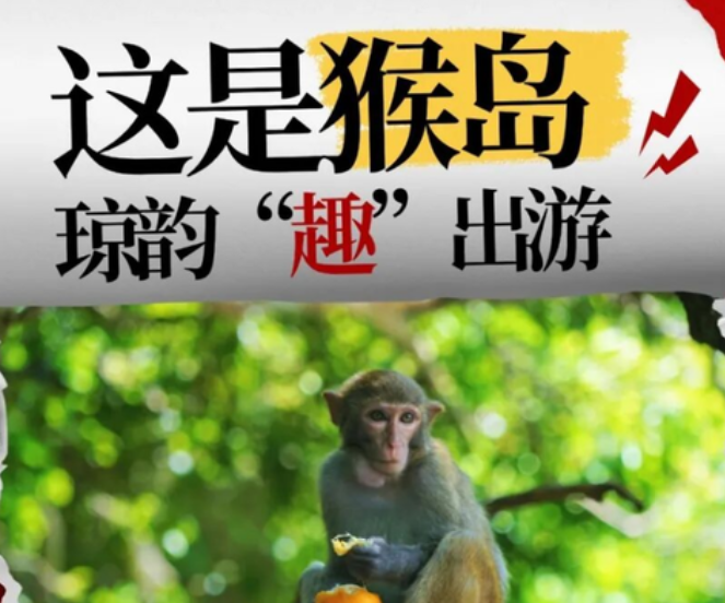 错峰游猴岛 以猴为伴，在呆呆岛独享‘摆烂’时光...