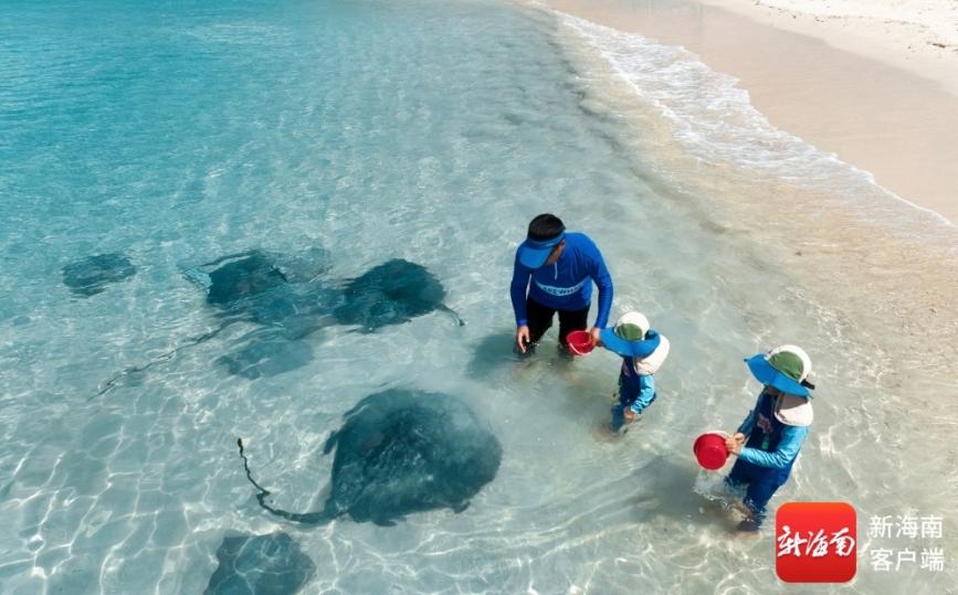 春假带动清明出游热 海南玩乐体验预订量增长超90%