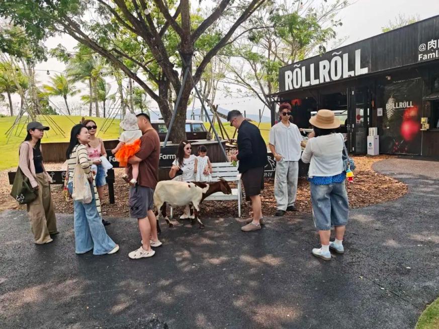 万宁“咖啡文化”“自然研学”“牧场露营”火爆出圈