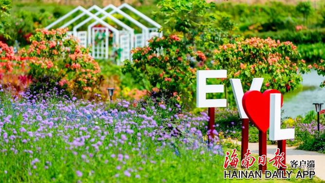 定安：15大特色活动丰富游客选择