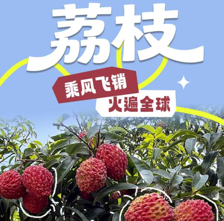 小满迎夏 果香漫琼岛 解锁海南专属风物韵味