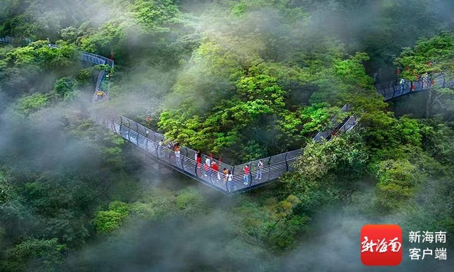 “琼中杯”雨林穿越登山徒步活动即将启幕 报名方式→