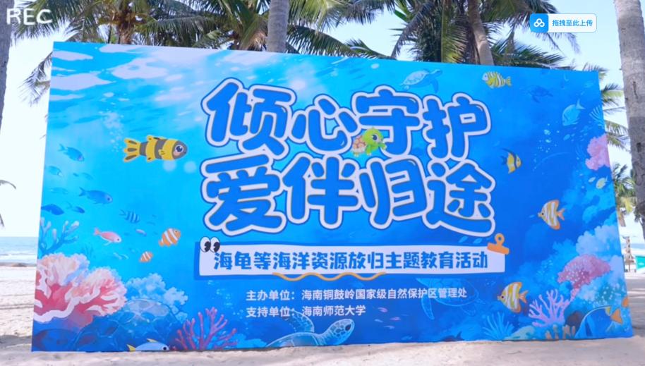 万尾紫红笛鲷放归碧海！铜鼓岭保护区双举措筑牢近海生态屏障