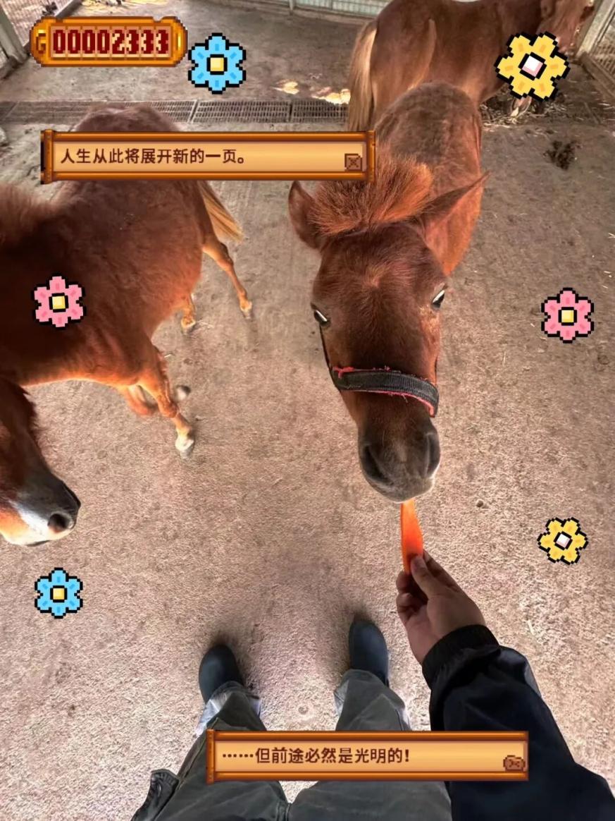 农庄新副本开启！昌江现实版星露谷等你来开荒→