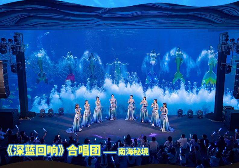 海洋万物声·国际音乐节定档，神秘嘉宾即将揭晓