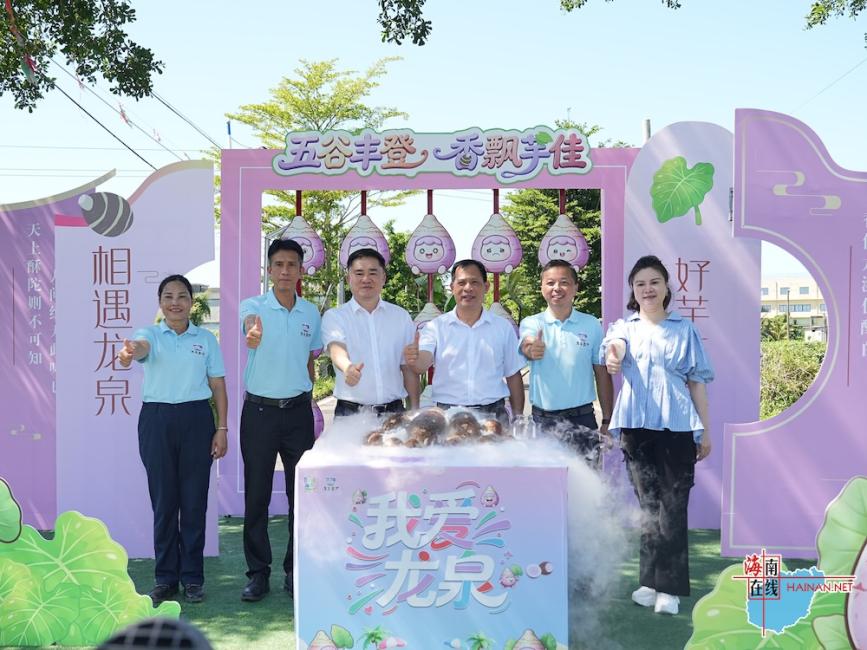海口五丰香芋文化推广活动启幕，农文旅深度融合激活乡村振兴