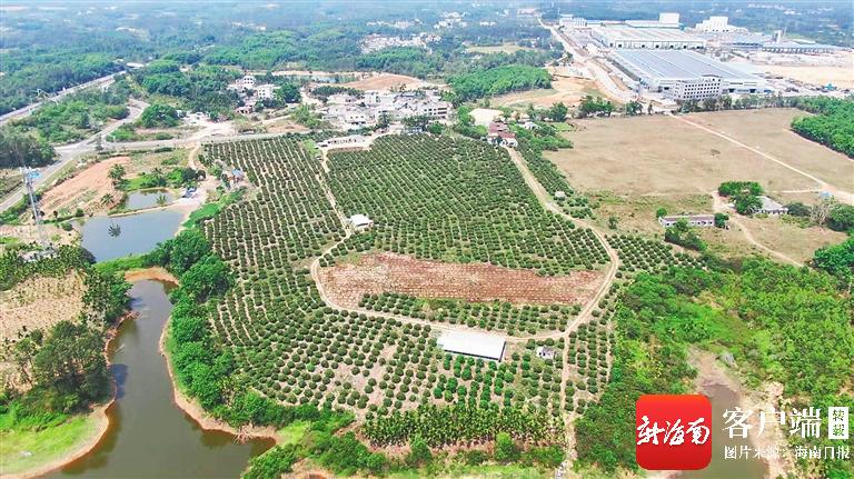 抗日英烈陈大定和定安大路村的抗战往事