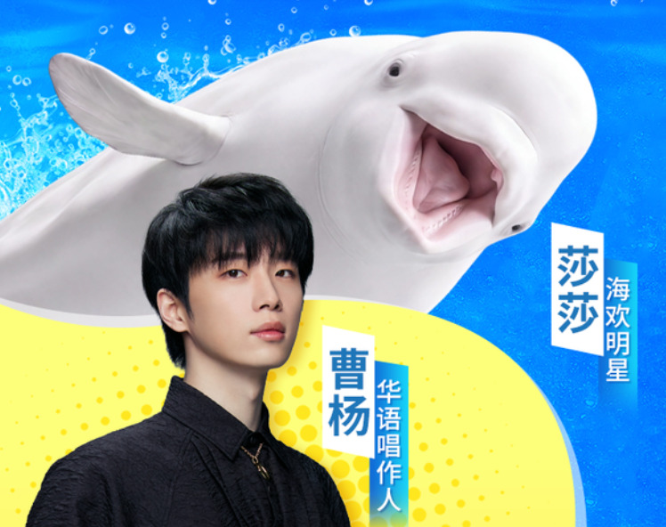 歌手曹杨携手白鲸“莎莎”梦幻联动 8月15日不见不散
