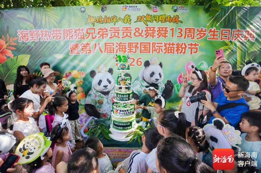 海南大熊猫“贡贡”“舜舜”专属生日纪念卡享游园八折