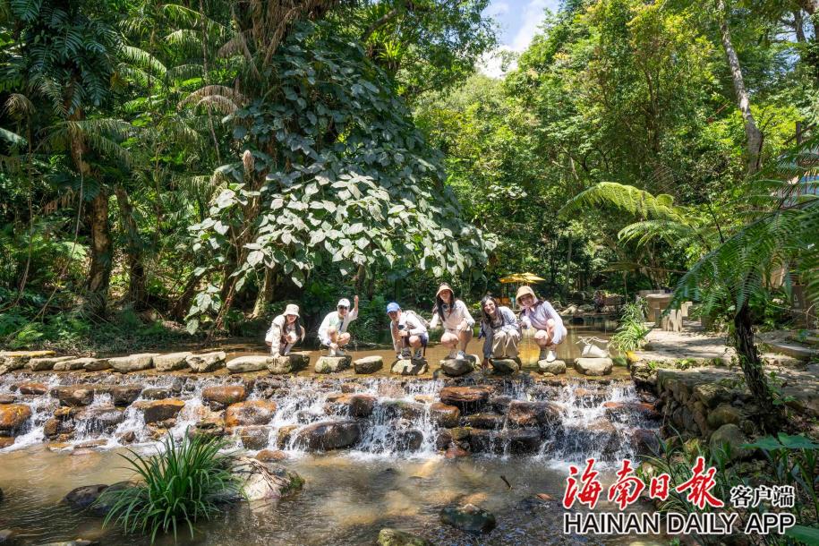 山海相约游人来！海南暑期旅游市场持续升温