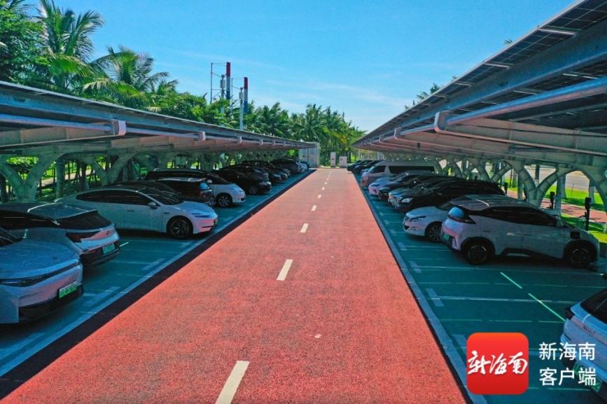 每四台新车三台为新能源 8月海南新能源汽车渗透率达75.05%