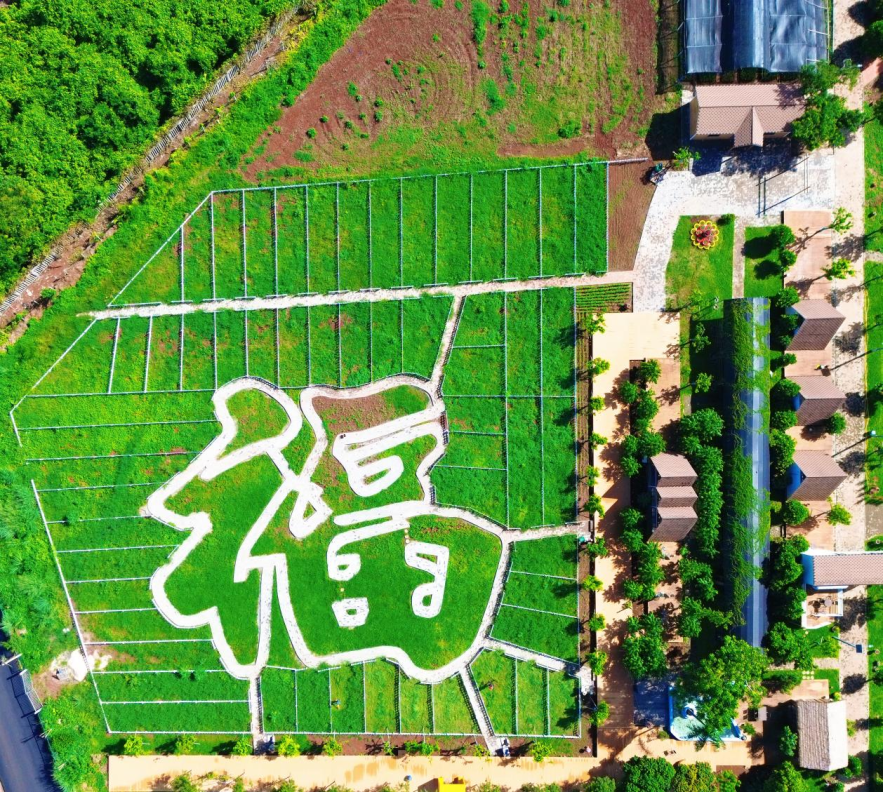 提前看！澄迈中秋国庆活动指南 精彩不重样