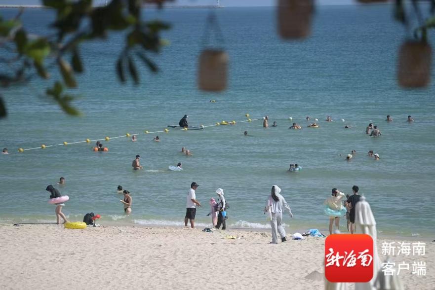 落地有青椰、行李有人管、免费停车场 三亚这样守护你的“双