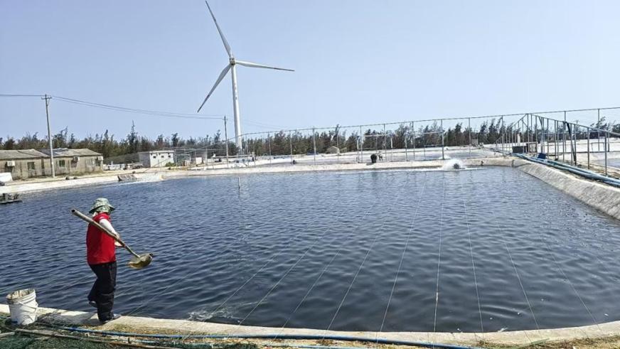 碧海果香椰风韵——建行海南省分行金融支持海南“三农”发展