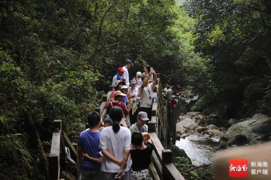 探雨林、逛瀑布、赏非遗白沙鹦哥嘴自然生态体验区人气满满