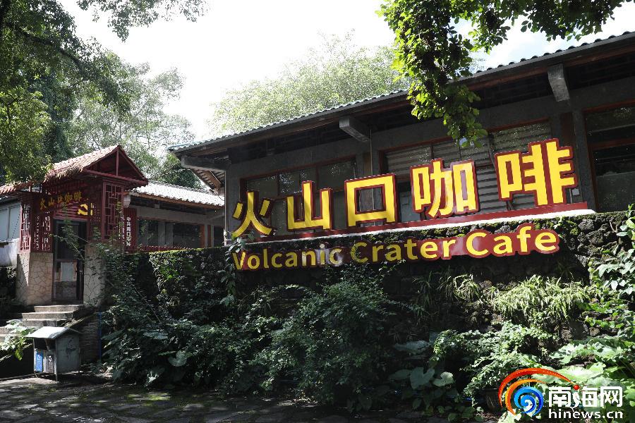 从火山岩缝到品牌名片，海口石山咖啡有了自己的“名字”