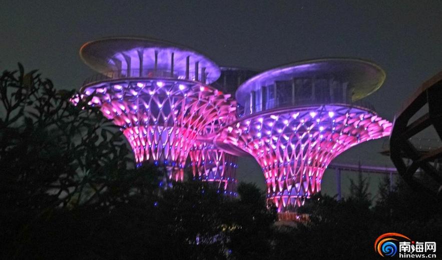 海口西秀公园“雨林之心”试灯亮起 夜景氛围感拉满